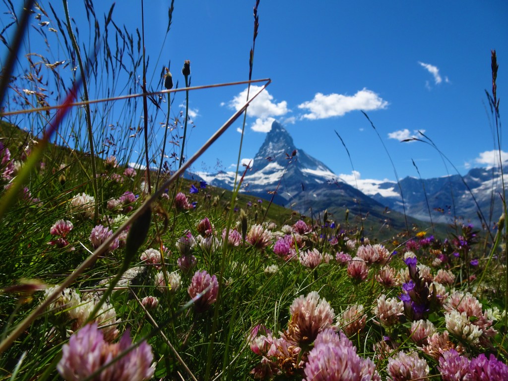Mont Cervin (Zermatt)