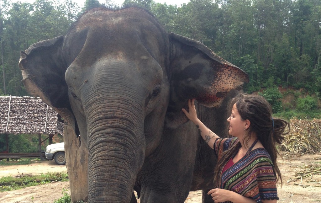 Elephant Jungle Sanctuary