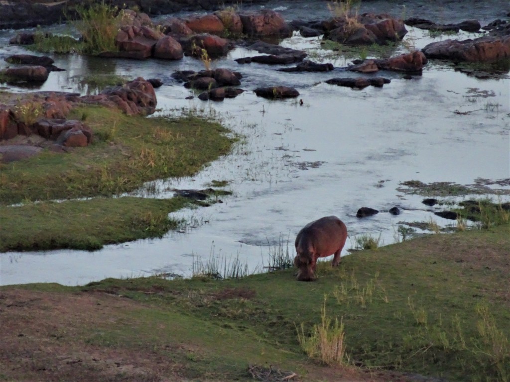 Dormir dans le Parc&nbsp;Kruger