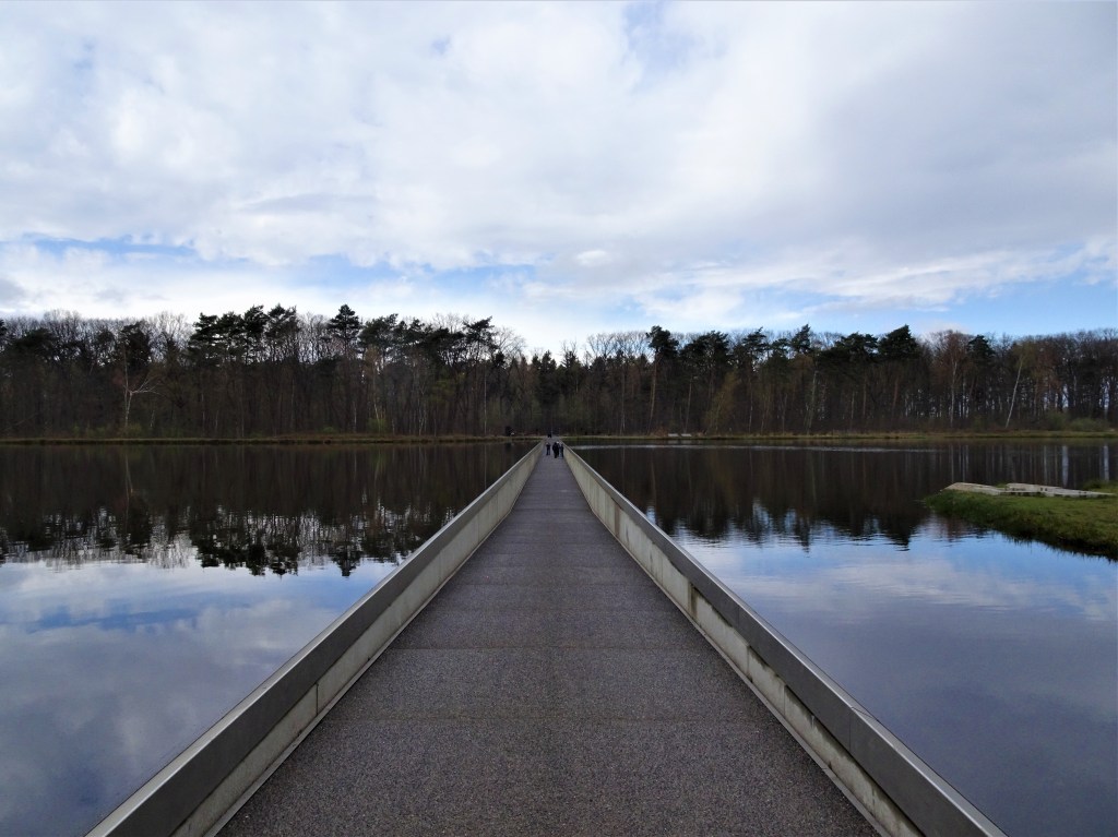 Cycling Through Water