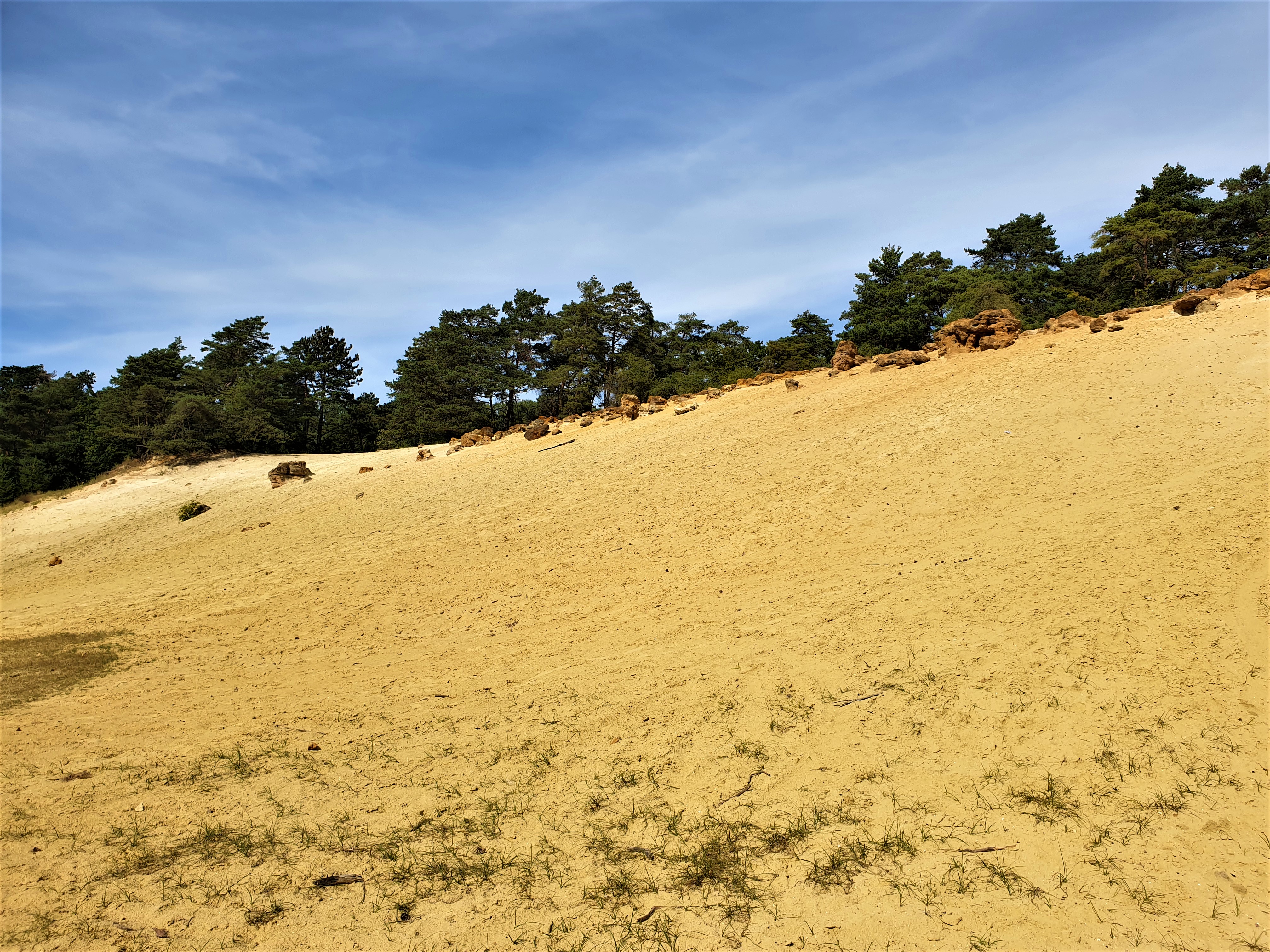 Réserve naturelle des Sablières