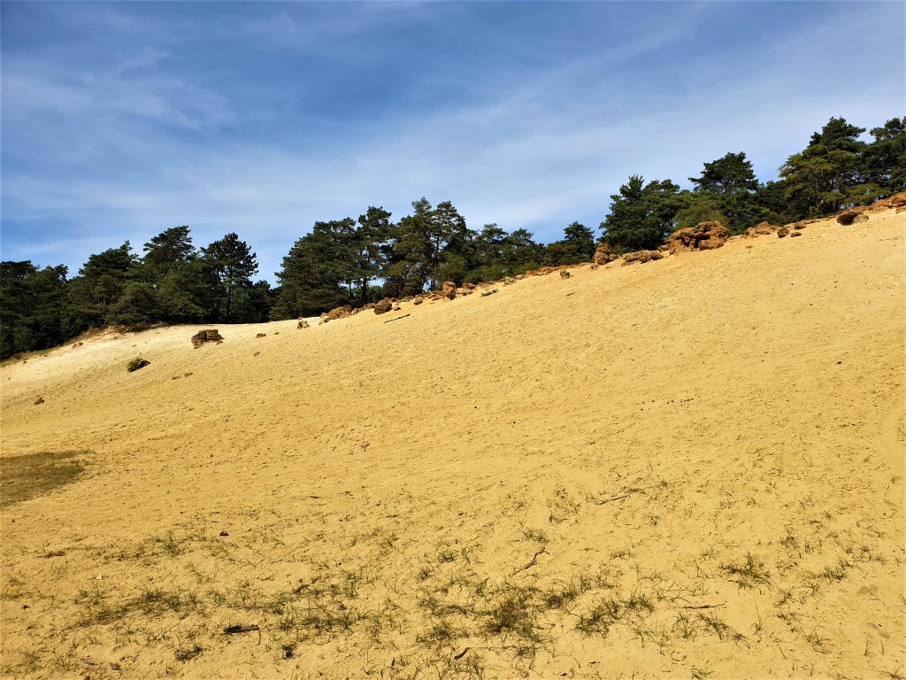 Réserve naturelle des&nbsp;Sablières