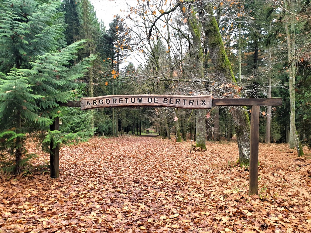 Arboretum de Bertrix