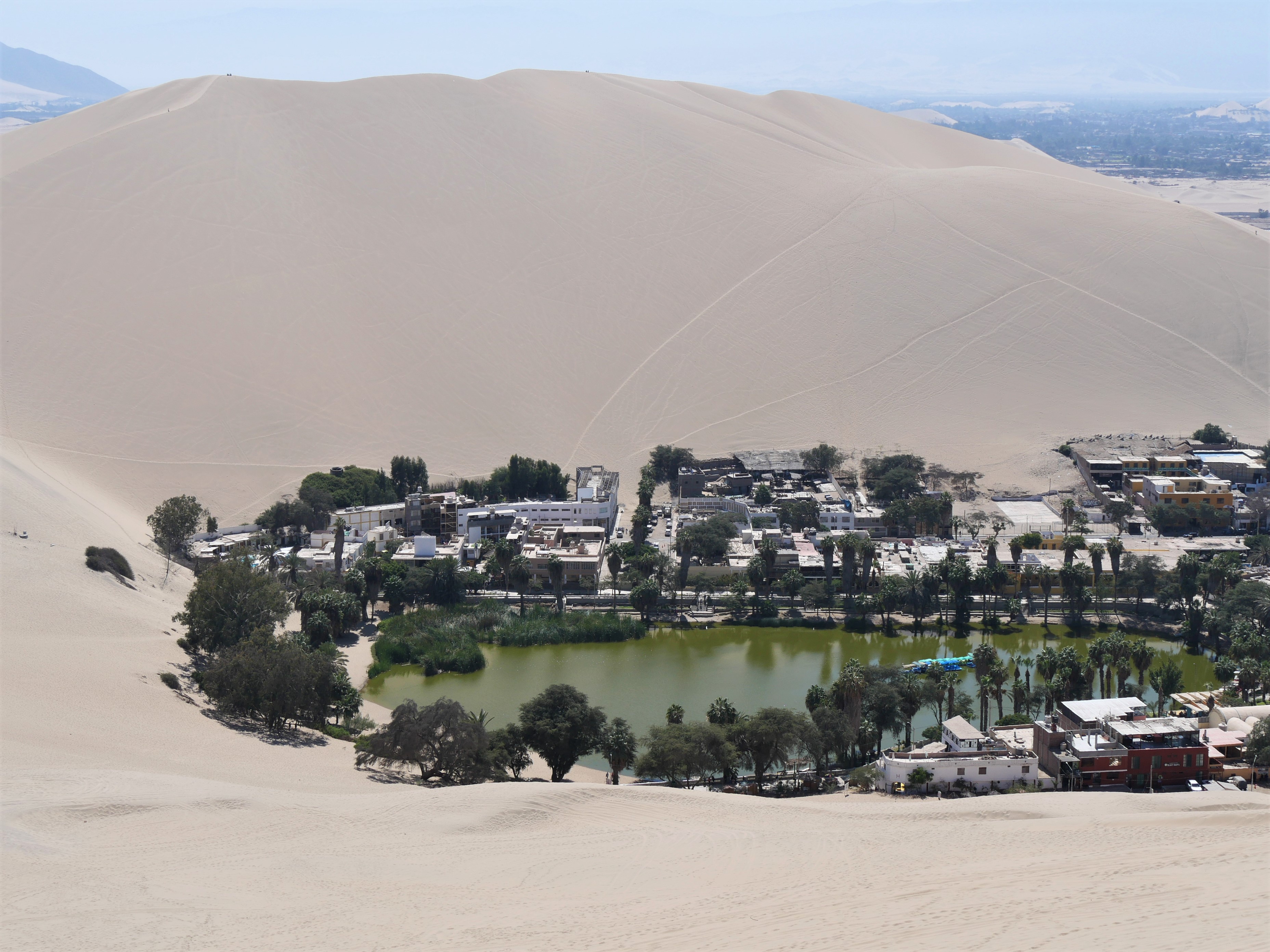 Que faire/que voir à l&rsquo;oasis de Huacachina?