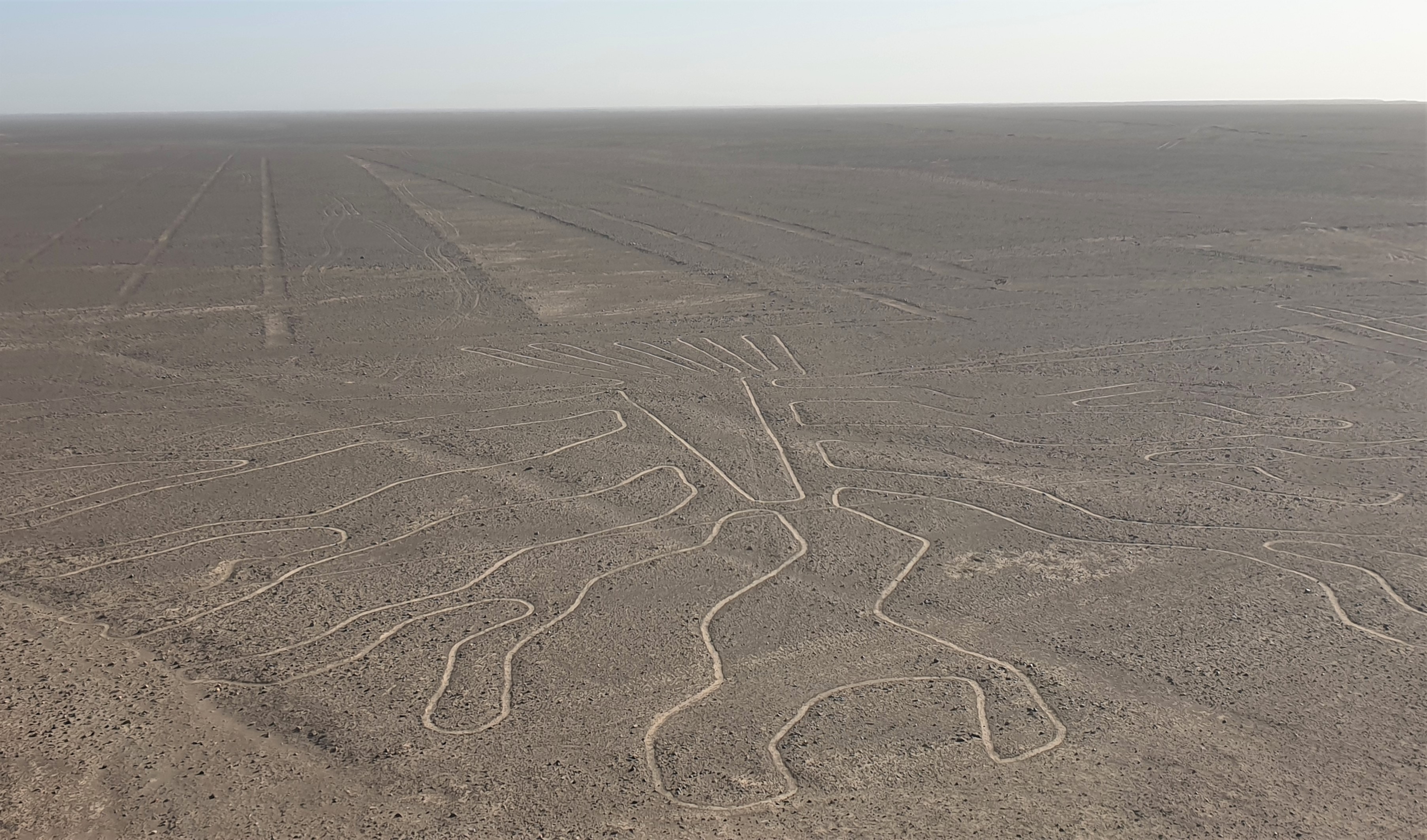 Que faire/que voir à Nazca?