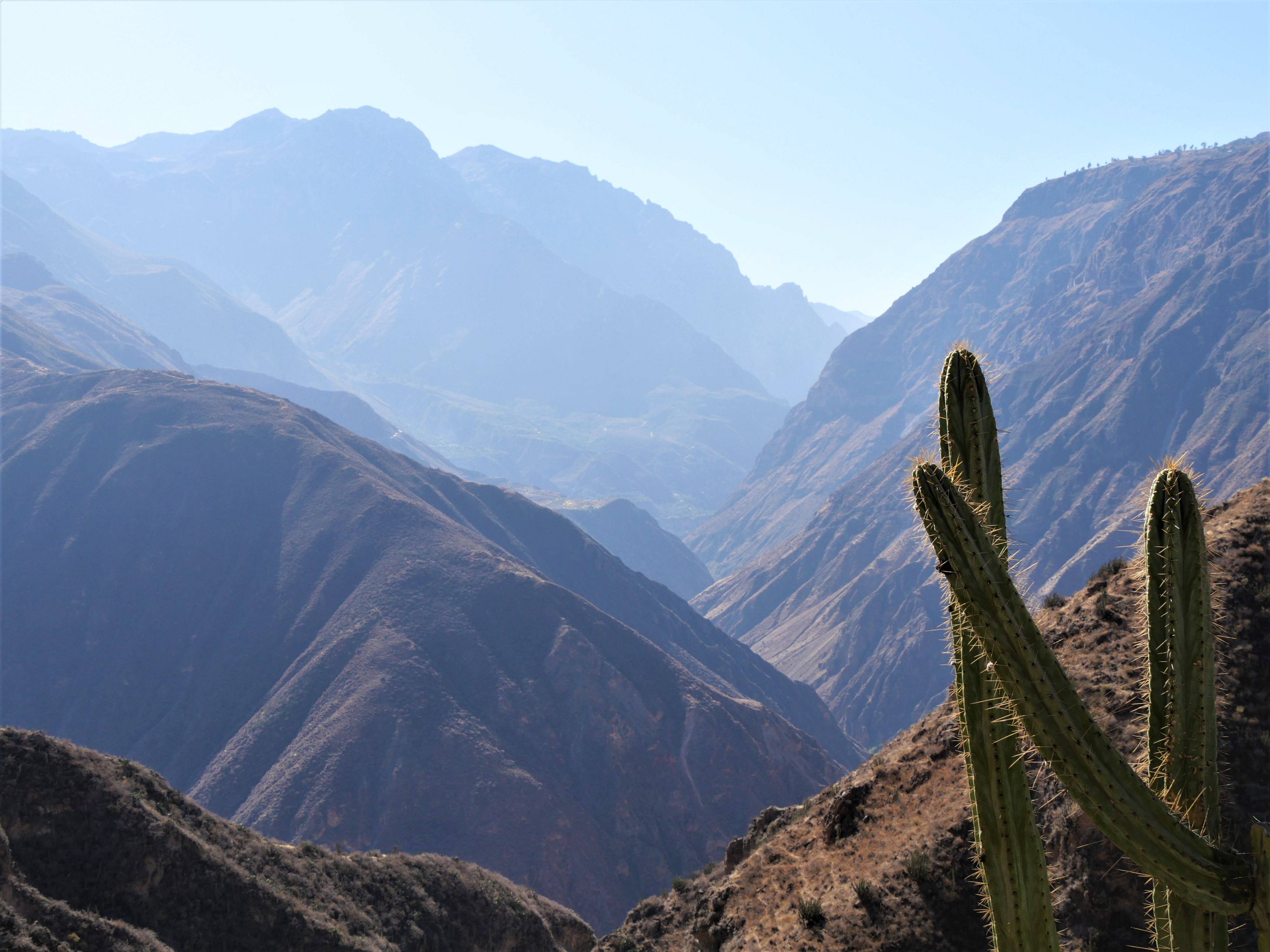 Trek dans le Canyon de Colca en autonomie