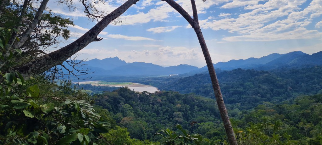 Amazonie : tour dans la Pampa et dans la&nbsp;Selva