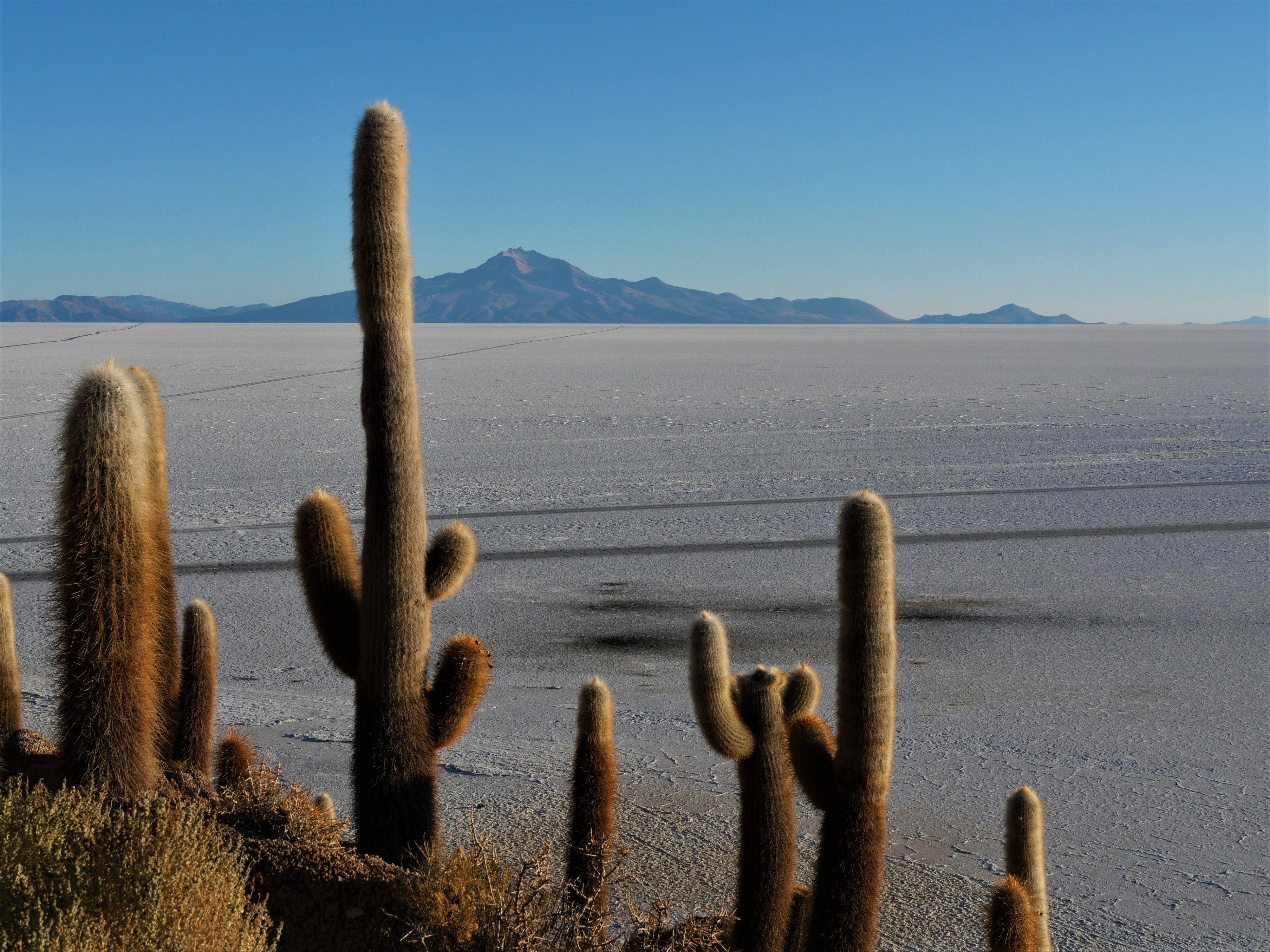 Tour du Salar et sud Lipez
