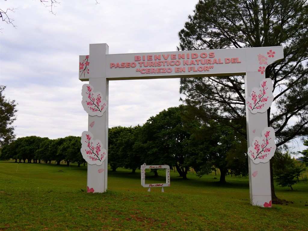 Paseo de los&nbsp;Cerezos