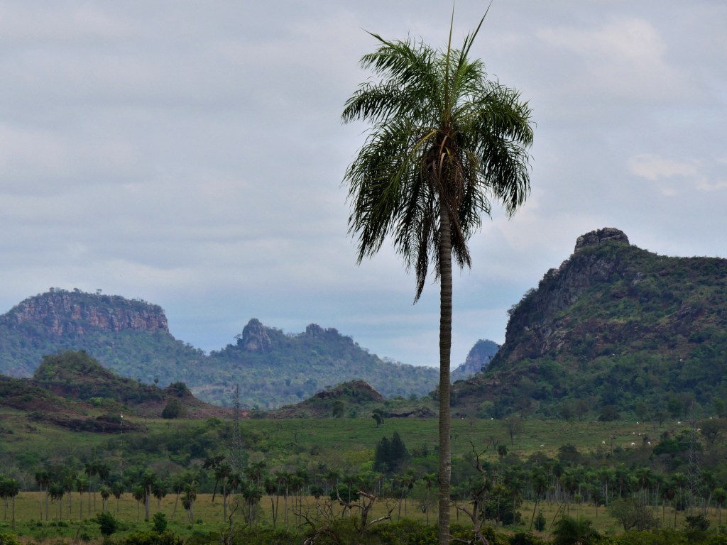 Parc national Cerro&nbsp;Corá