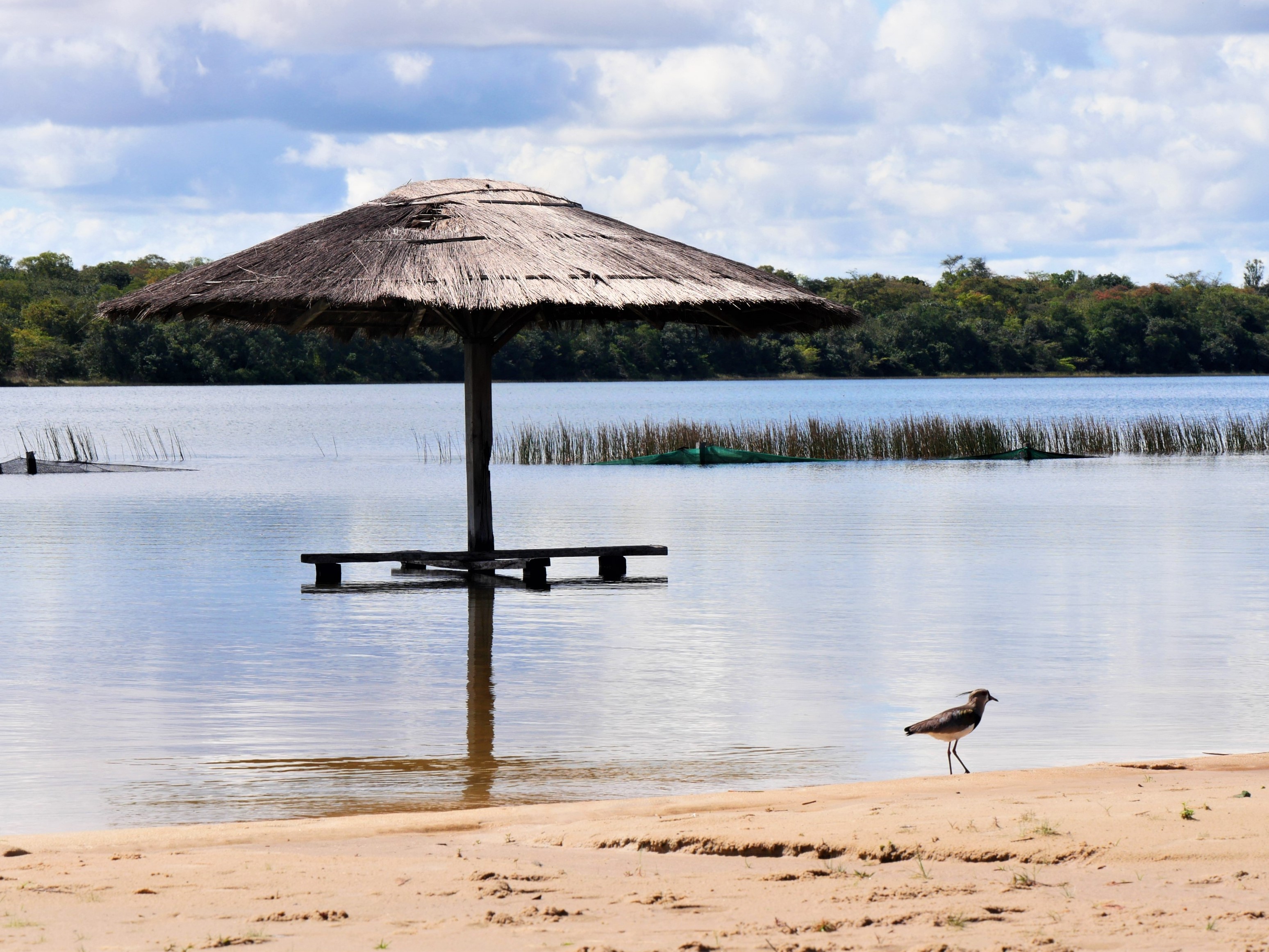 Laguna blanca, les caraïbes paraguayennes