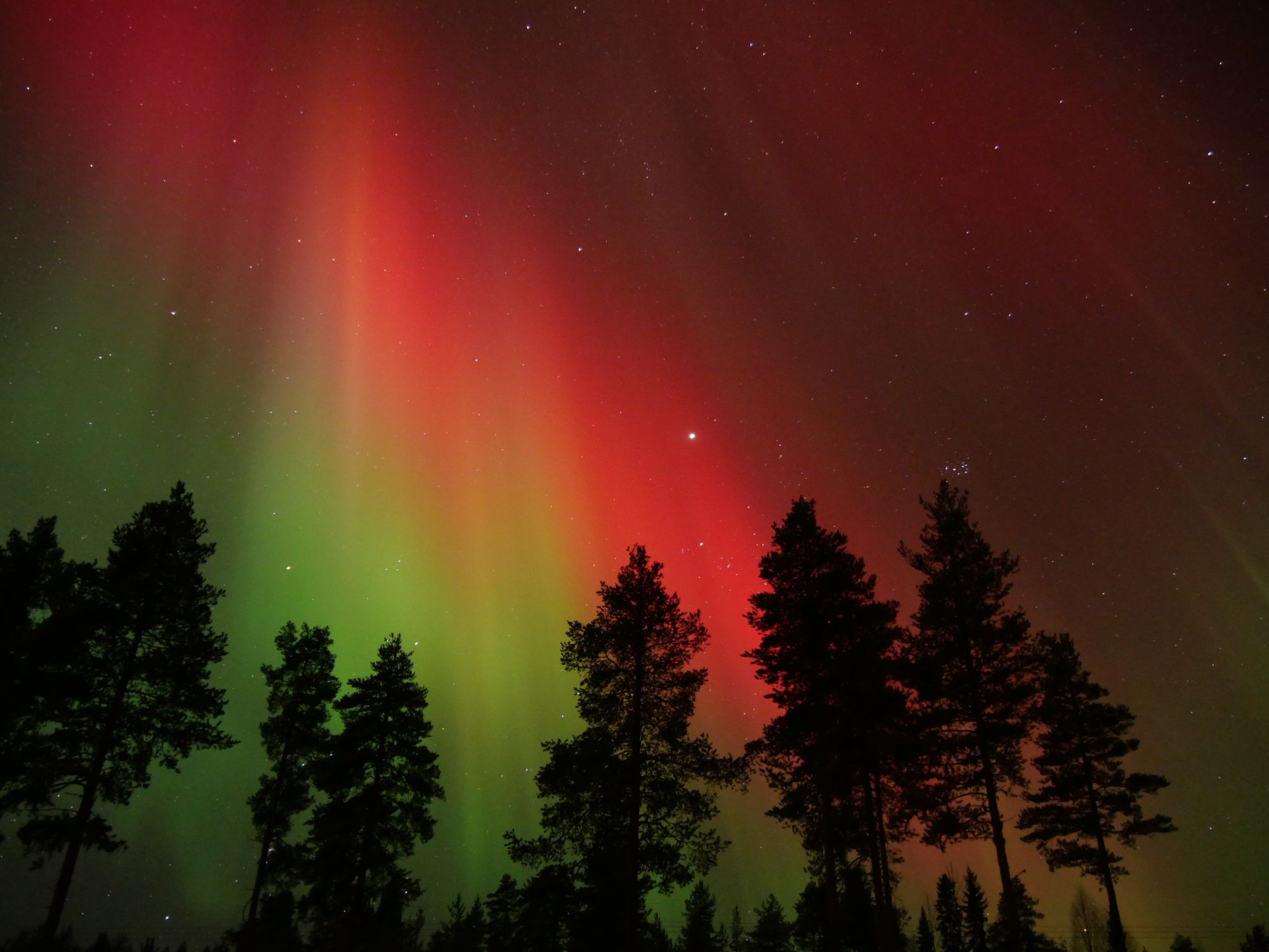 Voir les aurores boréales en Laponie finlandaise